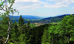 Ferienhäuser in Bodenmais als idealer Rückzugsort im Bayerischen Wald